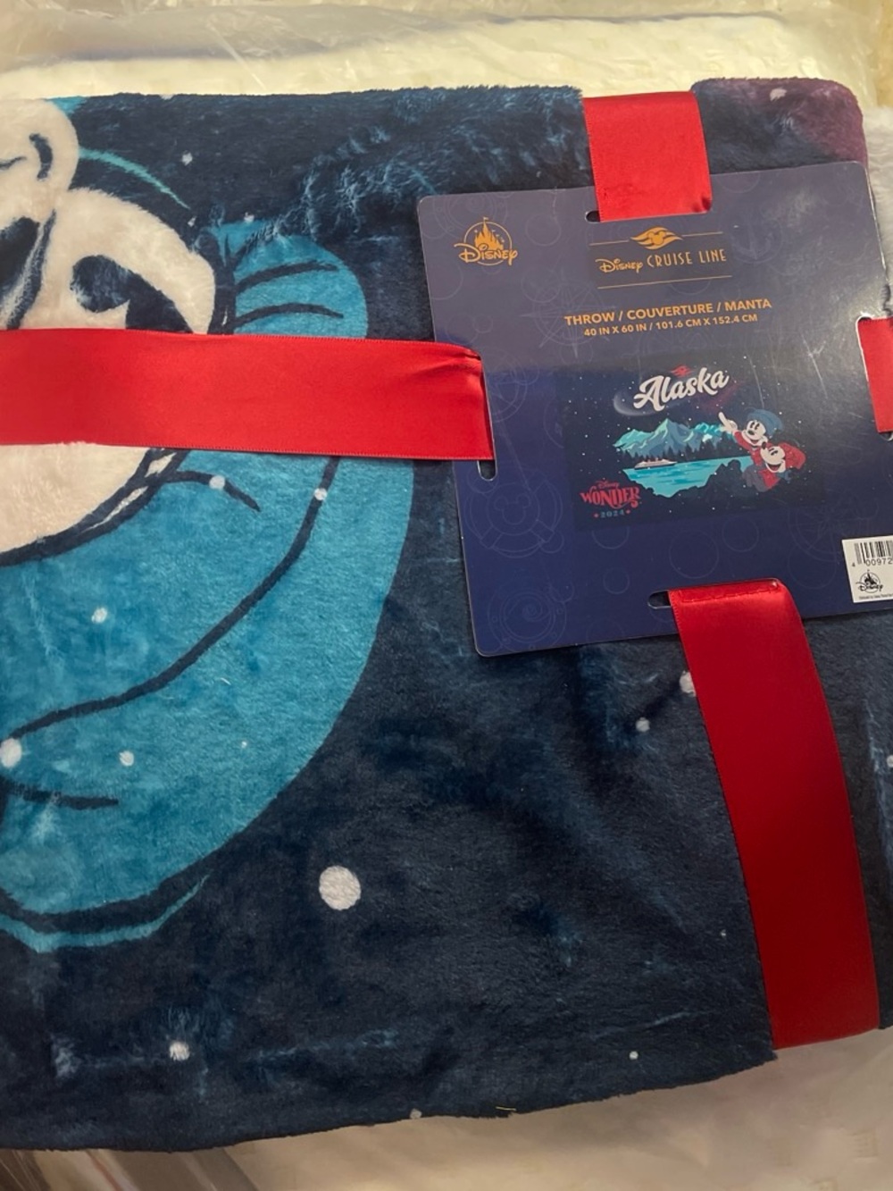 Alaska Disney Cruiseline Throw Blanket - Blue